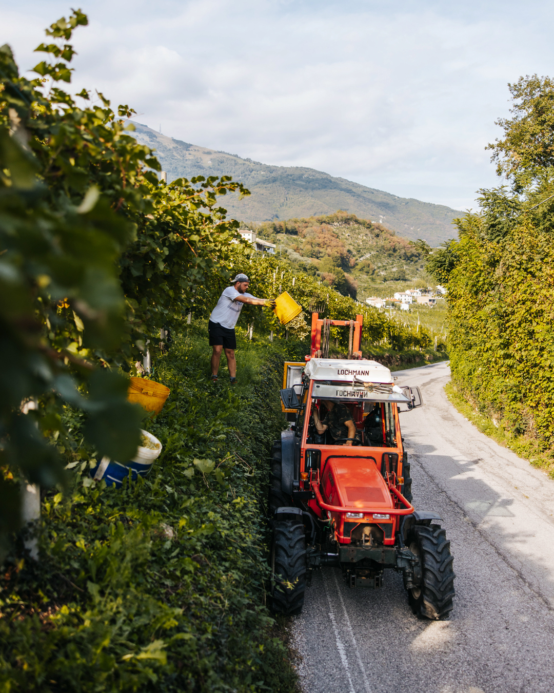 Val Procucer Leading Prosecco producer Val d'Oca projects quality 2023 vintage ...
