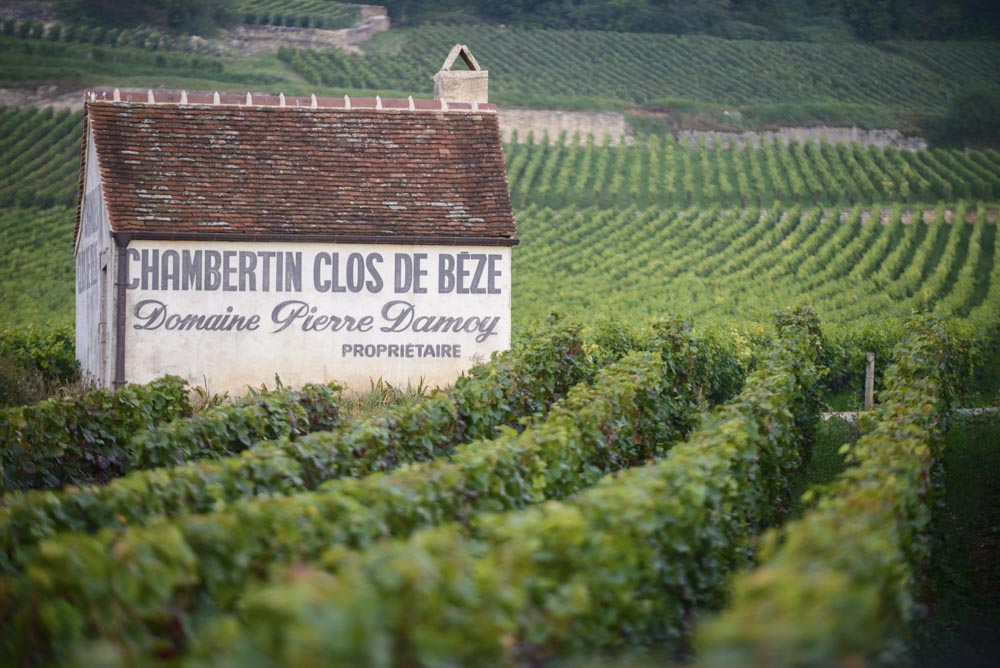 Louis Roederer In Talks to Acquire Burgundy's Domaine Pierre Damoy